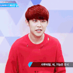 [워너원] 참새 술취하면 어떻게 될것같냐