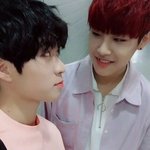 [워너원] <b>참새</b> 여친은 얘다