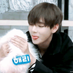 [방탄소년단] <b>태태</b>와강아지조합