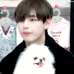 [방탄소년단] 나 이 움짤보고 <b>심</b><b>쿵</b>했어