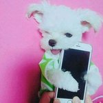 추반 좀 해주라