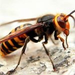 [댓글부탁해] 얼굴평가부탁드립니다