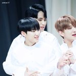 [세븐틴] <b>형아</b>가 좋은 민규