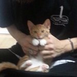[워너원] 나 <b>만약</b>에 팬싸가면 ㄹㅇ
