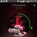 [NCT] 드콘 <b>레드카</b>펫