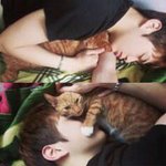 [워너원] <b>이</b> 고양이 <b>자식</b>...행복한줄도 모르고