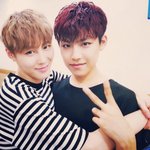 [워너원] 워너원 <b>친목</b>