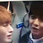 [워너원] 배진영 개귀엽다고 ㅠㅠ