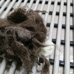 [고양이] 15년 키운 고양이 아기가 태어나니 마음이 싱숭생숭해요