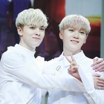 [세븐틴] ㅅㄷ)부승관 첫인상