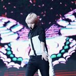 [EXO] 아 여기 어그로가 인간의 약점