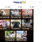[고양이] 밥값하는 <b>사랑</b>스러운 <b>아미</b>짱11