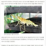 [콜로라도] 최근 열도에서 한국에 수출 계획중인 <b>물품</b>.jpg