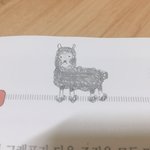 [임영민] 나 알파카 잘 그려!