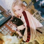 난내가<b>멘탈</b>이강한줄알았는데