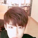 <b>토이</b> 푸들 키우는 판녀있어??