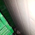 [EXO] 야 이 고양이 어떡해야됨?