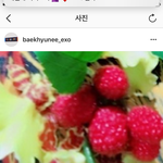 [EXO] ㅁㅊ 백현인별 <b>하악</b>
