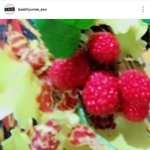 [EXO] 이거 앨범포카 셀카<b>확대</b>인가봄