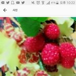[EXO] 큥스타 <b>댓글달</b>ㅇㅏㅅ네