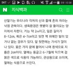 [EXO] <b>산딸기</b>