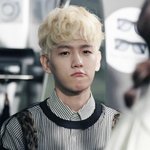 [EXO] 애들 스포 안하다가 오늘 작정한듯