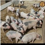 [콜로라도] 반드시 로또 <b>사야</b>하는 길몽들.jpg