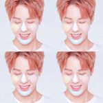 [워너원] <b>구르미</b> 미모 감탄스러움...