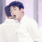[세븐틴] 나만 <b>아직</b> 티켓 안왔나..