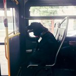 <b>당황</b>스럽게 만드는 동물들