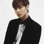 [워너원] <b>진진</b>자라한테 저런퀄이 나오다니
