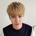 [세븐틴] 버노니 셀카 왜케 많이 늘었오?!?!
