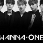[워너원] 늬들 <b>경력</b> 10일차야..;;