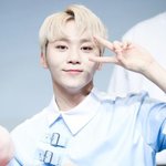 [세븐틴] ㅅㄷ 이번 활동 팬싸