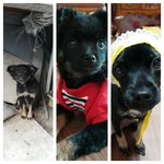 이렇게 빨리갈껄 왜 나한테왔니? 나는 어떡하라고!