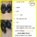 [동행세상] 뜬장에서 어미가 번갈아 물어가며 살려낸 <b>미르</b>와 상추