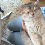 [조언부탁해] 남자애들은 나를 만만하게봐