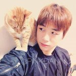 [워너원] <b>강고양이</b>의 다니엘