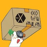 [EXO] 너네 엑소 앨범나오면 사재낄 준비 다 했냐