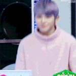 [세븐틴] ㅅㄷ 수요일 화이팅