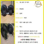[강아지] <b>어미</b>가 뜬장에서 번갈아가며 물어 지킨 애기들