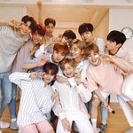 [워너원] 30대 아줌마팬인데 질문있어요~