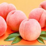 [NCT] <b>시민</b>들 바탕화면 일코짤