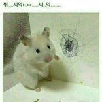 [드루와] 깔창 끼는애들있어?
