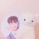 [임영민] 방토들아 나 알파카 <b>분양</b>했는데 이름좀지어줭ㅎㅎㅎ