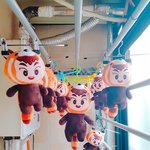 [시우민] 밍굴 단체 <b>건조</b>중 ㅋㅋㅋ시우민)
