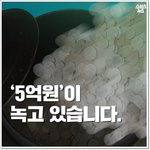 <b>혈세</b>낭비.jpg