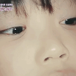 [워너원] 애들 보고싶다,,,