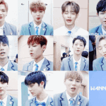[워너원] 우리 팬덤 이름