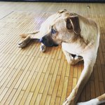 [돌아와반짝] 롱다리 우주 (19금, feat 돌아와반짝, 광주...